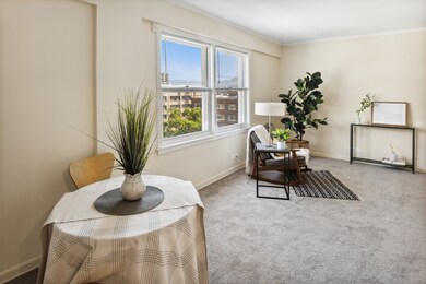 1101 Grove St unit 8C, Evanston, IL 60201 - photo 3