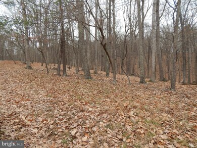 0 Pioneer Trail unit WVMO116368, Great Cacapon, WV 25422 - photo 4