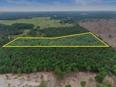 Tract 2 Smith Rd, Cleveland, TX 77328 - photo 7