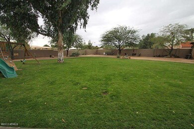 Spacious Backyard/Home backs to park