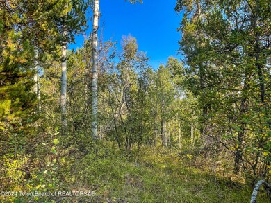 ALPINE RETREAT_LOT 13-9