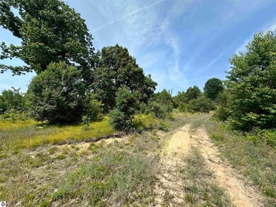 TBD Meredith Grade Rd, Harrison, MI 48625 - photo 4
