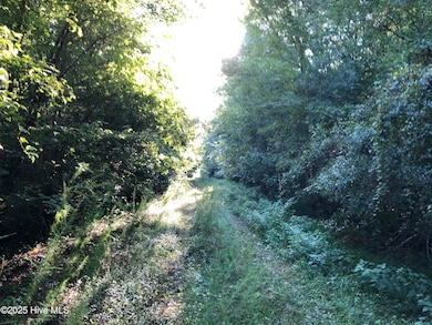 0 Plantation Rd, Trenton, NC 28585 - photo 4