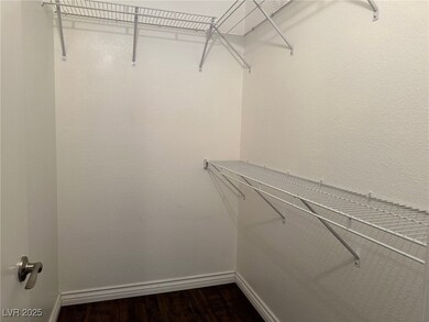 Spacious closet featuring dark wood-style flooring
