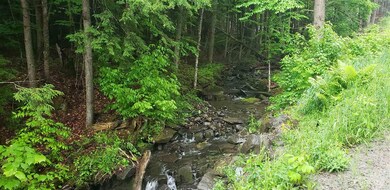 00 Dexter Mountain Rd, Glover, VT 05839 - photo 4