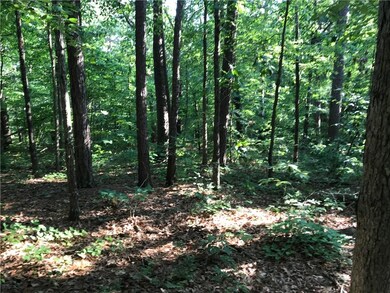 0 Burghley Ln unit 1115798, Bella Vista, AR 72714 - photo 2