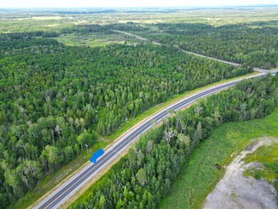 9195 Samuelson Rd, Angora, MN 55703 - photo 5