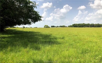 Looking North along back property line