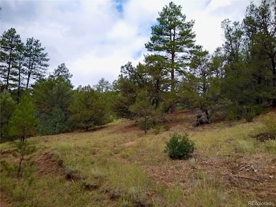 000 Gold Pan Trail, Cotopaxi, CO 81223 - photo 7