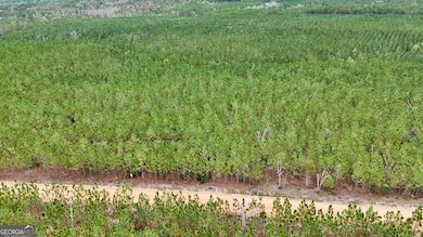 0 Penny Morris Rd, Baxley, GA 31513 - photo 5