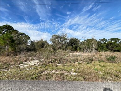 324 Jack Weisser Blvd, Lake Placid, FL 33852 - photo 2