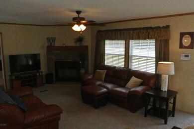 6744 Bridgersville Rd, Elm City, NC 27822 - photo 5
