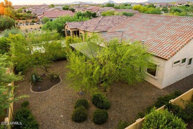 06-Backyard