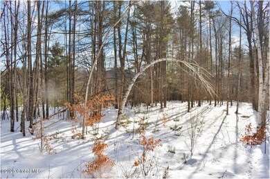 L92 Highview Ln unit Lot 8, Wevertown, NY 12886 - photo 4