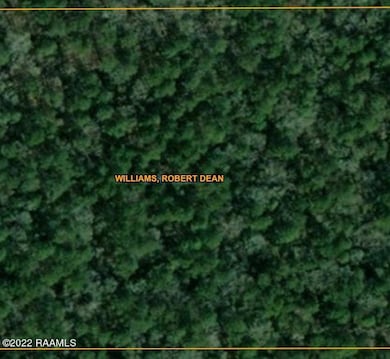 0 Crowley Eunice Hwy, Crowley, LA 70526 - photo 4