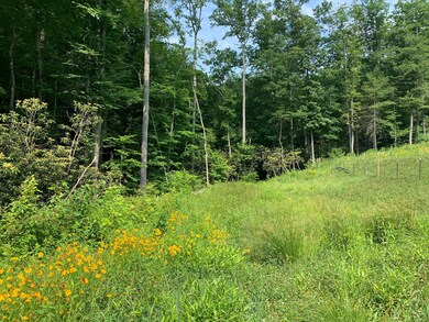 Ciciora 2256 Wayside-Talcott Rd Pic 13