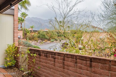 View From Patio