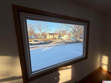 1208 6th St, Fairbury, NE 68352 - photo 6