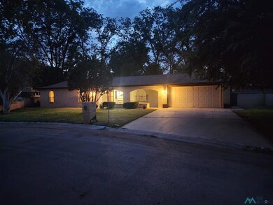 1319 Doepp Dr, Carlsbad, NM 88220 - photo 3