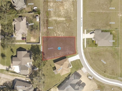 11619 Matanilla Dr, Clermont, FL 34711 - photo 2