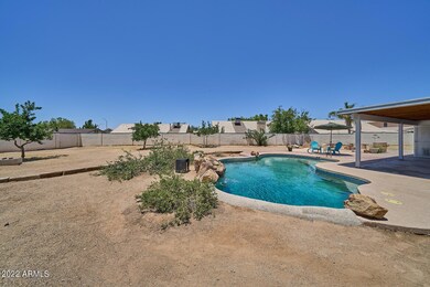 Backyard4