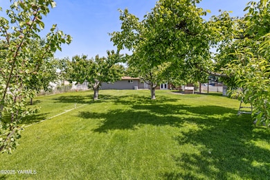 Beautiful Backyard