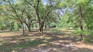 4013 McCall Bridge Rd, Quincy, FL 32351 - photo 6