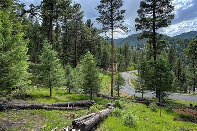 6875 Lynx Lair Rd unit 47, Evergreen, CO 80439 - photo 7