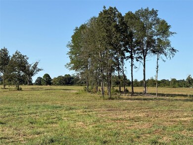 0 County Road 2425 unit 22866274, Como, TX 75431 - photo 5