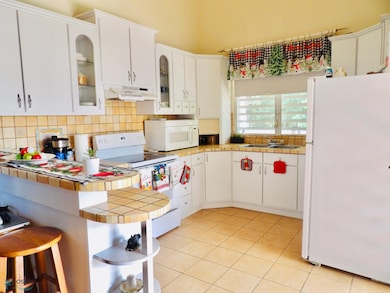 71 Bo Monte Grande Carr 310 #71 Cabo Rojo, Cabo Rojo, PR 00623 - photo 5