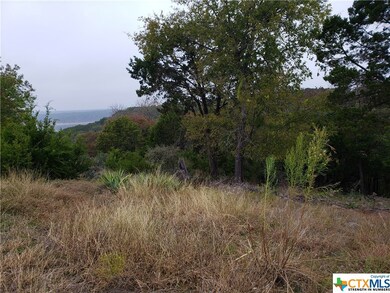 15831 Loveta Lane Ct, Temple, TX 76502 - photo 3