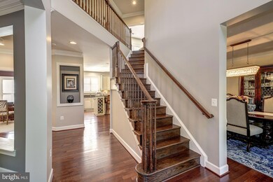 5720 Colfax Ave, Alexandria, VA 22311 - photo 5