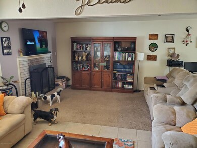 3917 Highland View Dr, Farmington, NM 87402 - photo 4