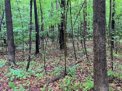 19.42 Ac Main St, Mathews, VA 23109 - photo 6