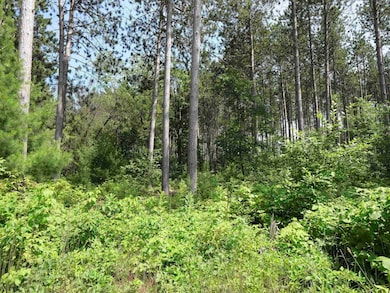 Lot 6 Two Sisters Ct, Stevens Point, WI 54482 - photo 5