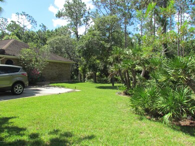 Side Landscaping