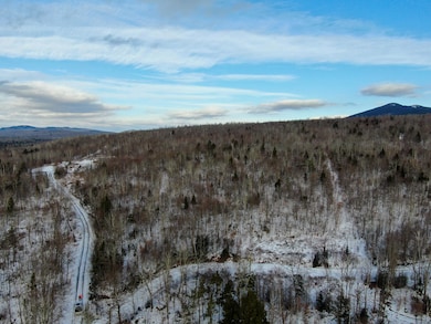 DJI_0739