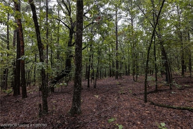 TBD Hoppers Pass, Wister, OK 74966 - photo 5