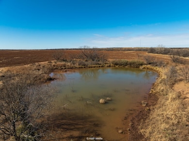 TBD County Road 260, Colorado City, TX 79512 - photo 2