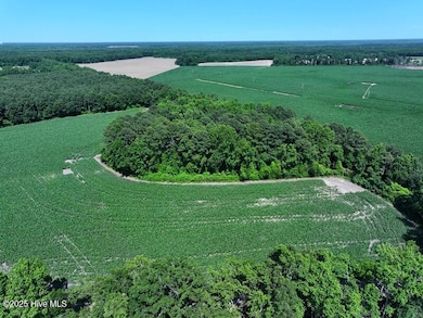 DJI_20250604162810_0540_D