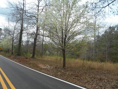 0 Jenkins Rd unit M129981, Forsyth, GA 31029 - photo 4