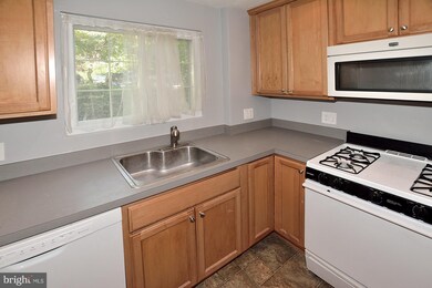 1716 Preston Rd unit 815-1716, Alexandria, VA 22302 - photo 5