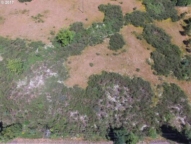 0 Mountain Springs Dr, Sheridan, OR 97378 - photo 3