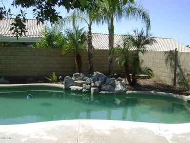 POOL WITH PALMS