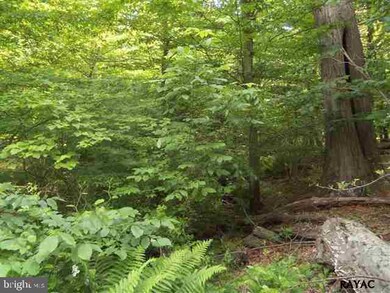 741 Jacks Mountain Rd, Fairfield, PA 17320 - photo 6