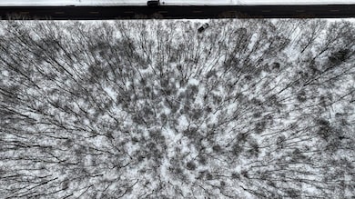 Lots 11 & 14 County Road A, Grand Marsh, WI 53936 - photo 3