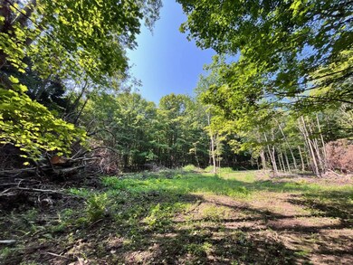 VL Ritter Hollow Rd, New Albion, NY 14719 - photo 5