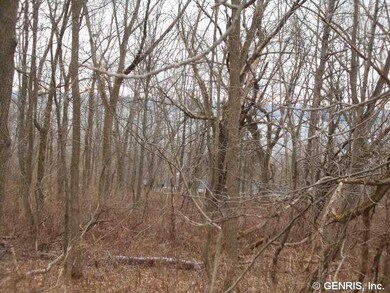 Other woods