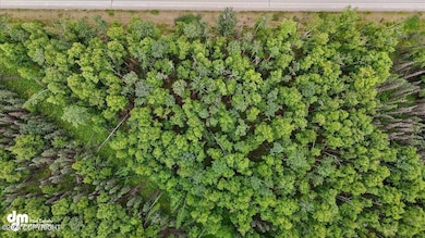 5200 W Parks Hwy, Wasilla, AK 99654 - photo 7