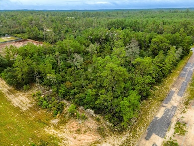 8109 N Wayside Ave, Dunnellon, FL 34433 - photo 4